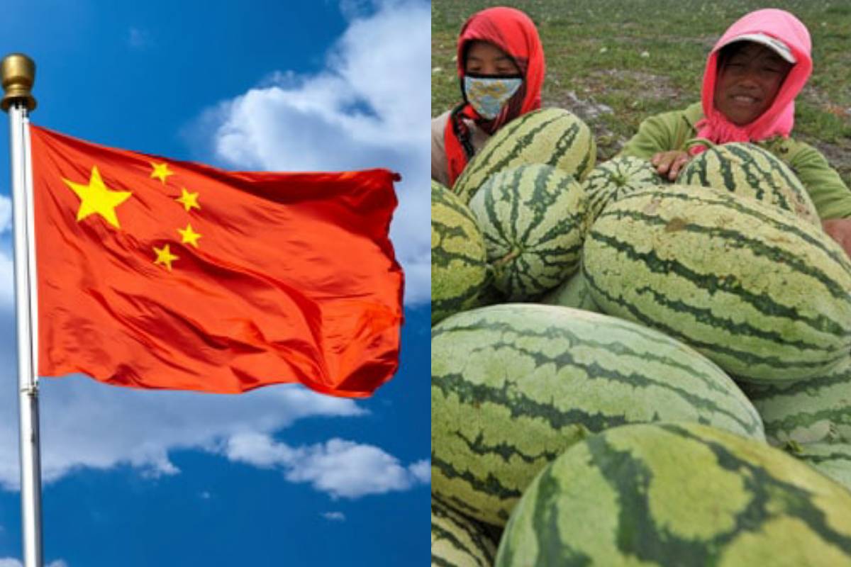 चीन में डेवलपर्स परेशान, किसानों से घरों के पेमेंट के बदले ले रहे तरबूज और आड़ू