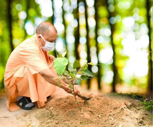CM Yogi  Record of 25 crore saplings will be set in UP on July 5 