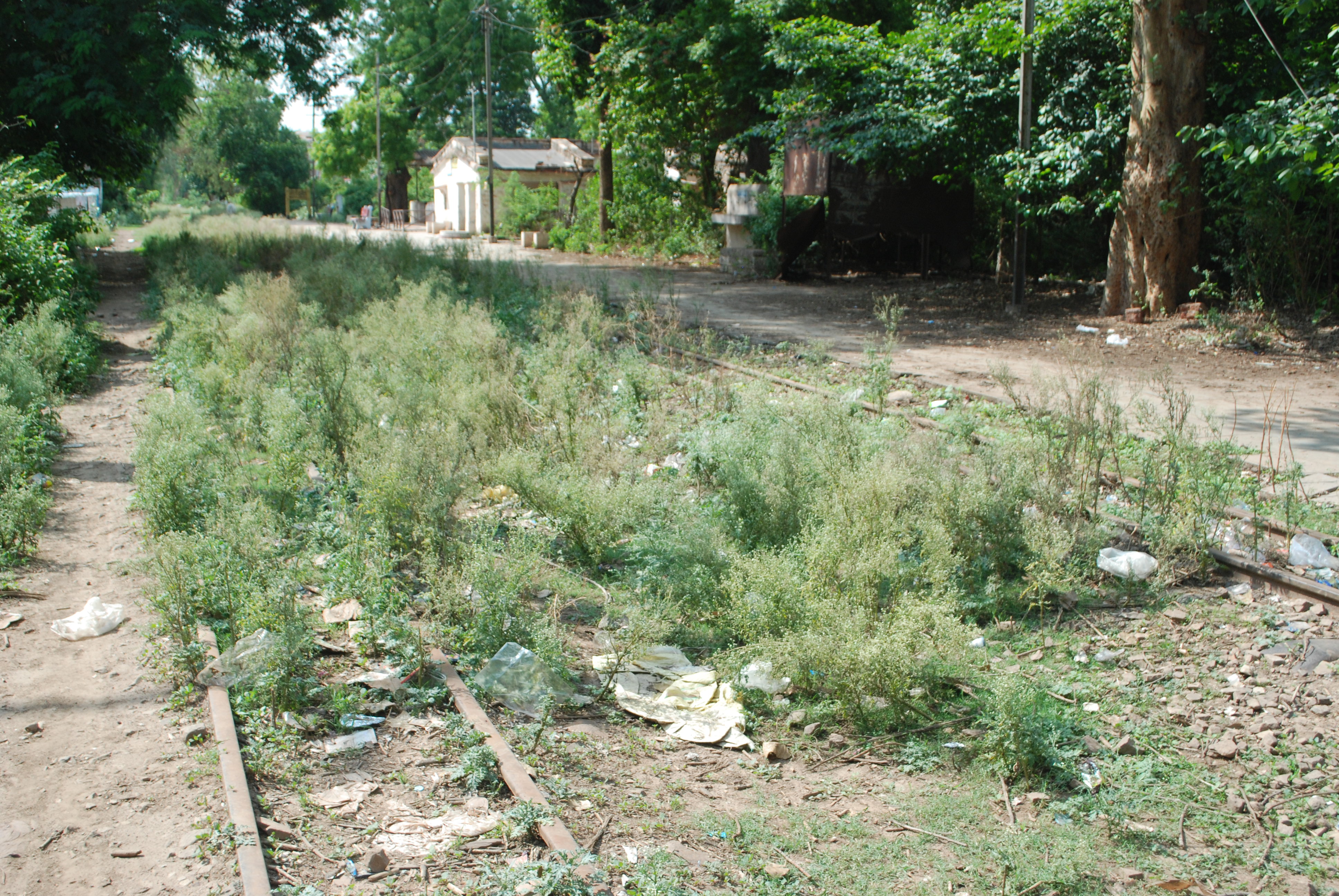 सिंधिया रियासत में चली छोटी रेलगाड़ी बंद, मिट्टी और धूल में समाई पटरियां