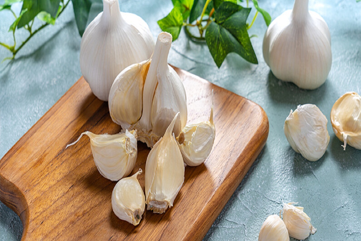 Garlic Benefits: खाली पेट लहसुन का सेवन से मिलते हैं ये अद्भुत फायदे, जानें इसके अन्य फायदे