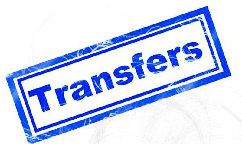 transfer_1.jpg