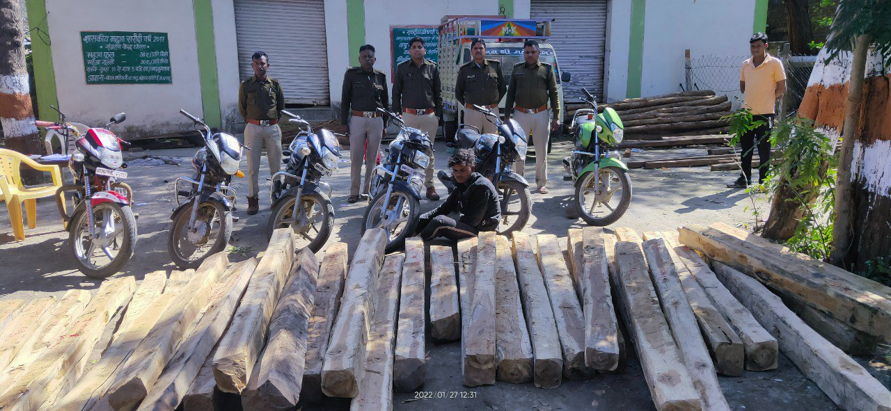 पुष्पा फिल्म की तर्ज पर इंदौर में होती है लकड़ी तस्करी