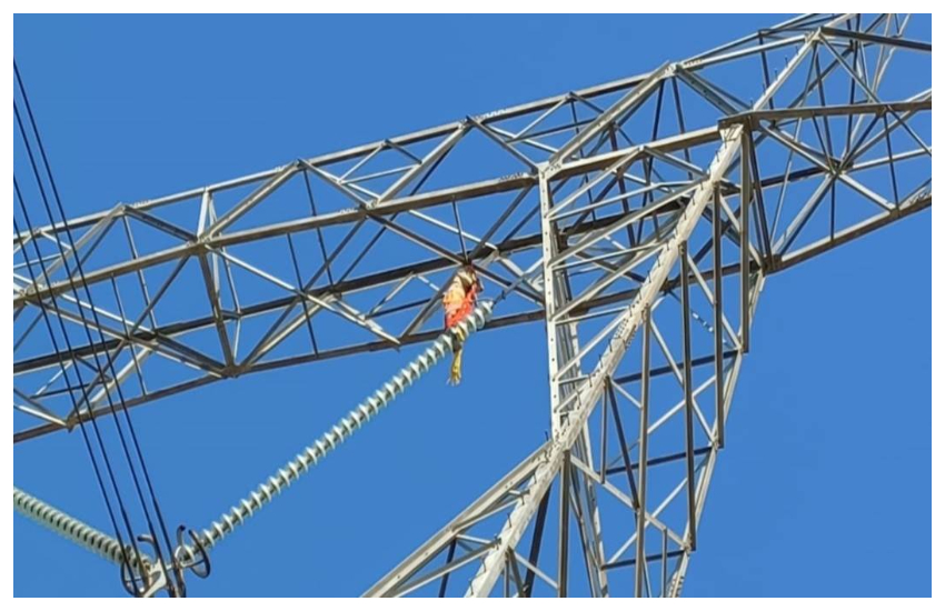 Husband climbed on electric tower after his wife going her home ??