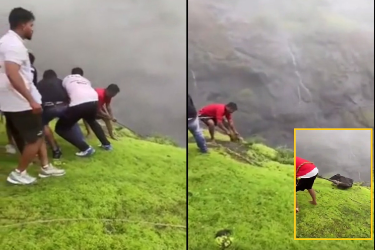 Cow Fallen Off The Hill in Maharashtra Panvel Rescue Video Goes Viral