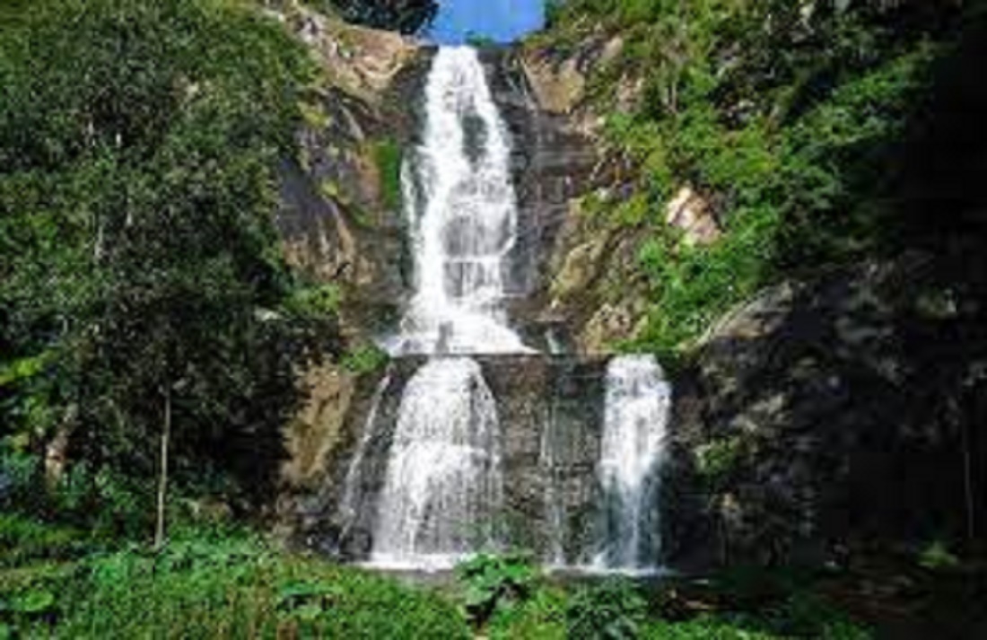  Tourists rushed to kodaikanal to escape the summer heat and enjoy the coolness.