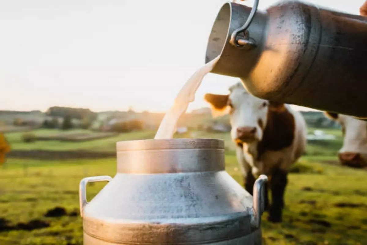 gst_rate_hike_in_uttar_pradesh_for_milk_products.jpg