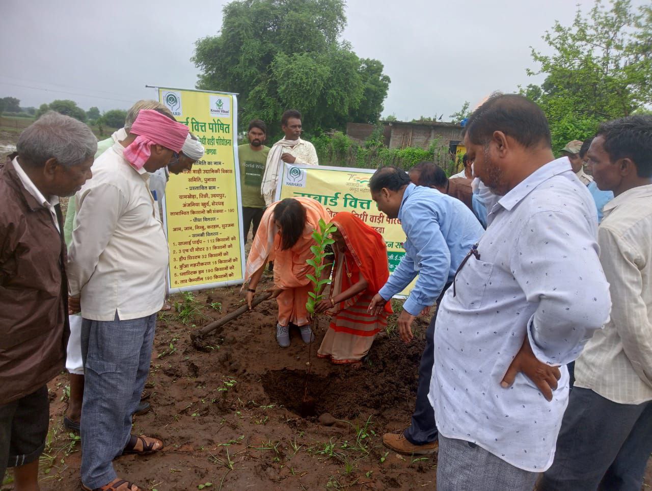 Preparation for planting saplings to increase the economic level of tr