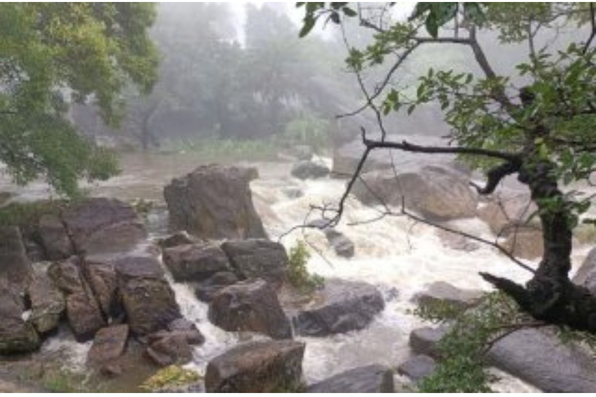 Weather Update: 72 mm Rain Recorded In Mount Abu In Last 24 Hours