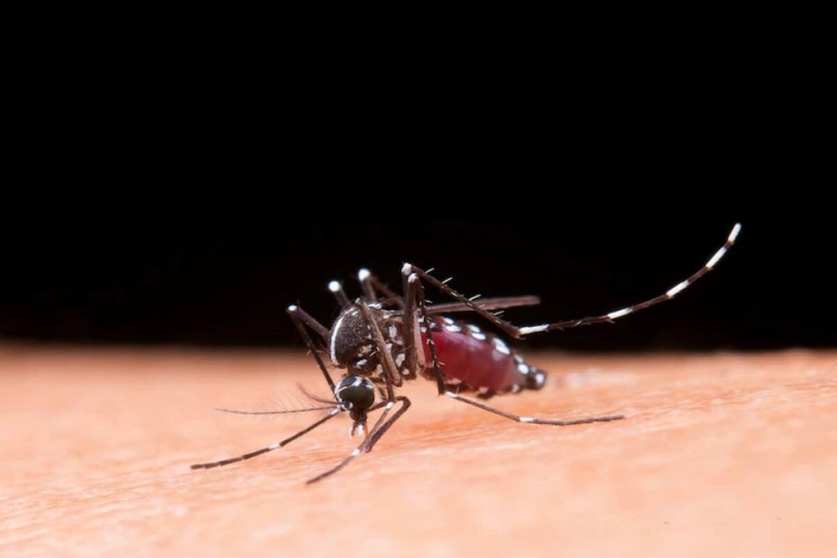 Monsoon Health Tips: मानसून में बढ़ जाता है डेंगू-मलेरिया होने का खतरा, इन तरीकों से रखें अपनी सेहत का ख्याल
