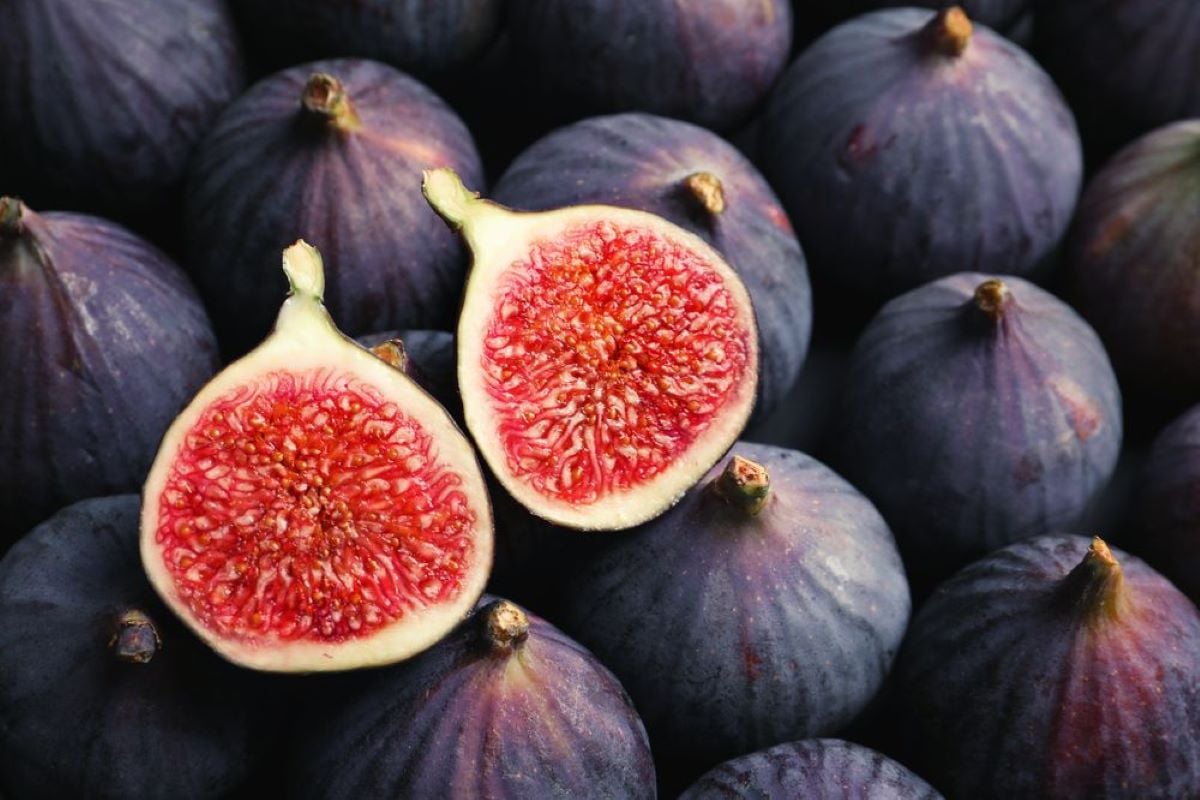 Premium Photo  Dried figs or anjeer fruit from india is a healthy  nutritional food