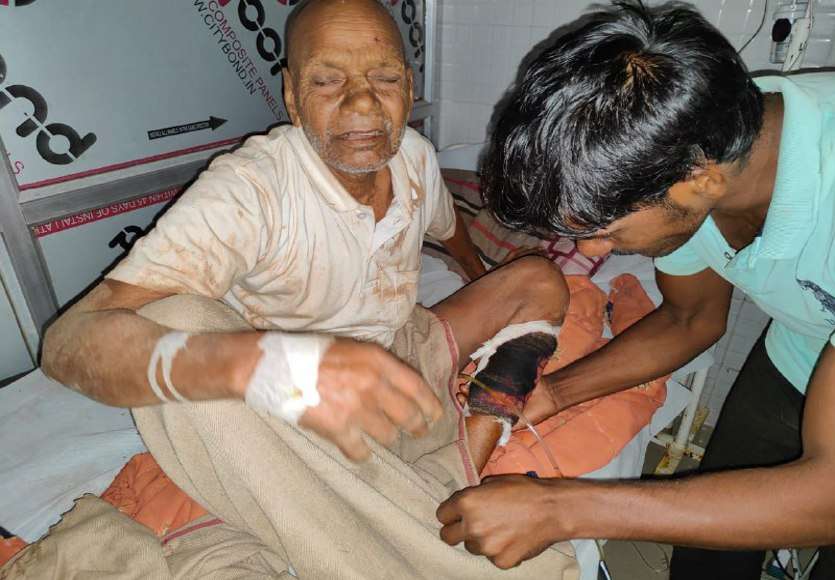 Elephants killed old age women