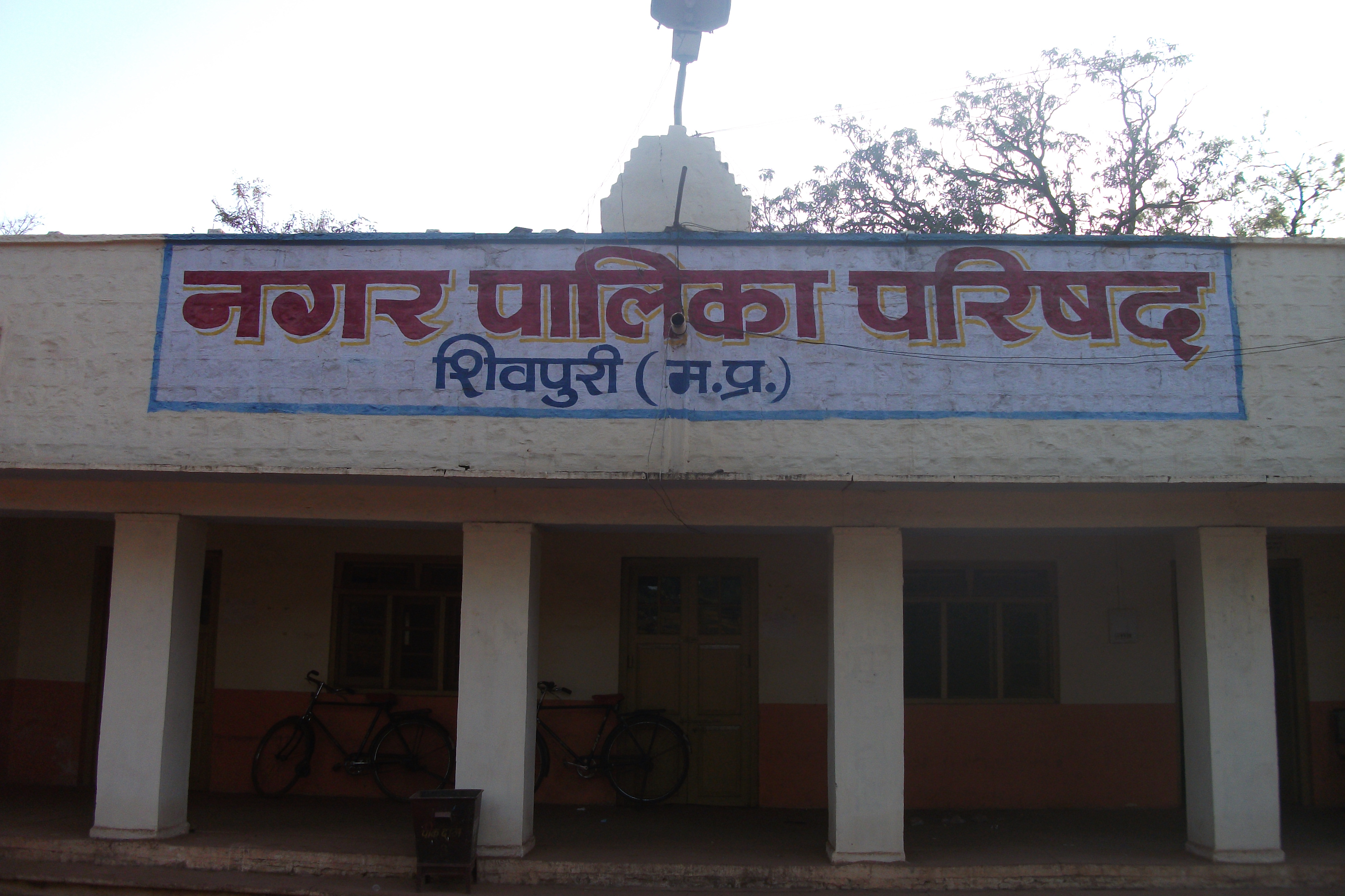 जिपं पर सिंधिया का कब्जा, नपा में यशोधरा की कवायद