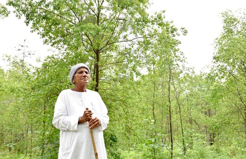 Gujarat Sandal Wood cultivation चंदन की खेती से सुगंधित पर्यावरण के साथ किसान भी मालामाल