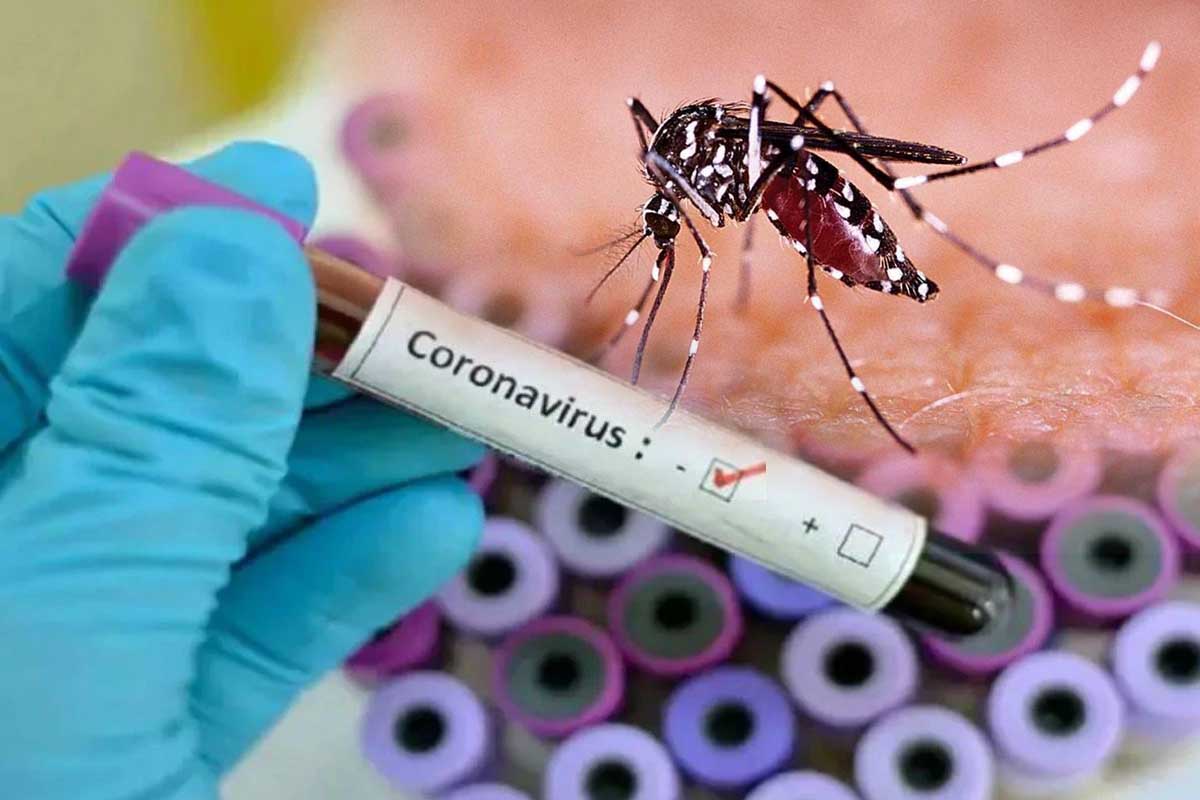 scientists-discover-clip-on-to-detect-zika-virus-via-smartphone.jpg