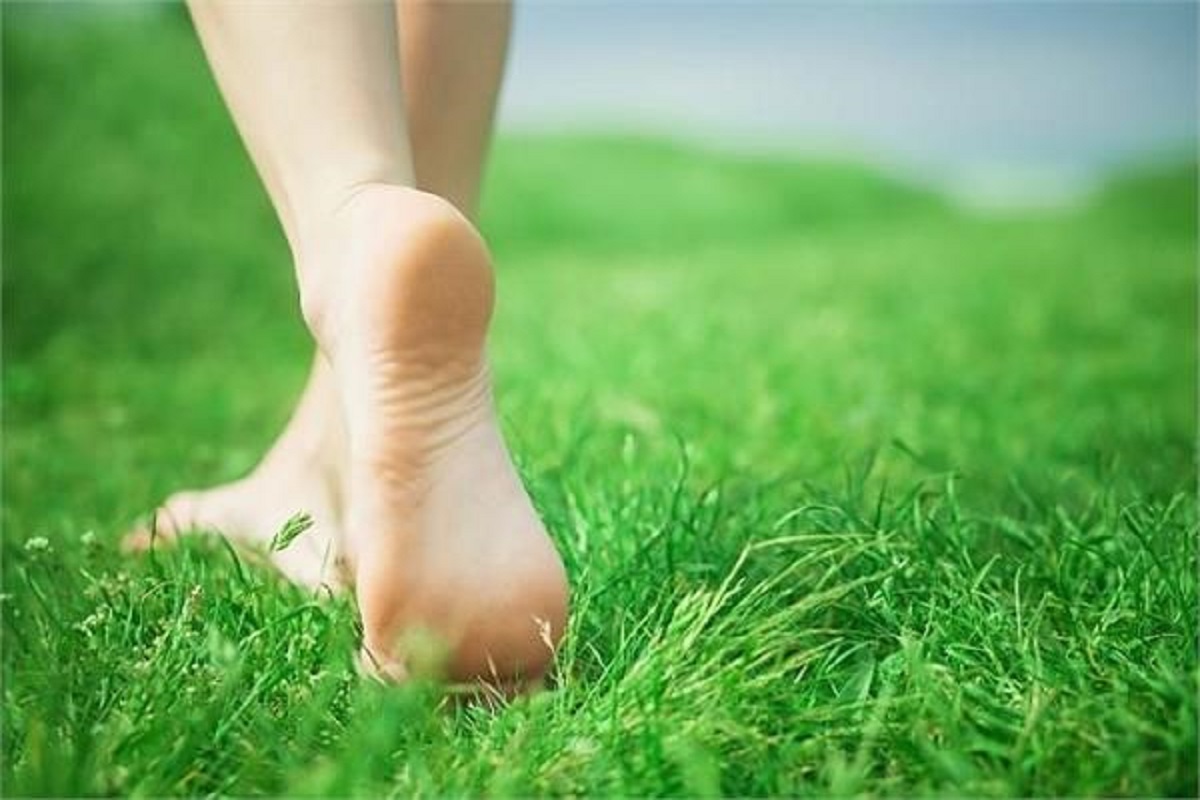 Health Tips: सुबह नंगे पैर घास पर चलने से सेहत को होते हैं ये अद्भुत, आंखों की रोशनी होती है तेज