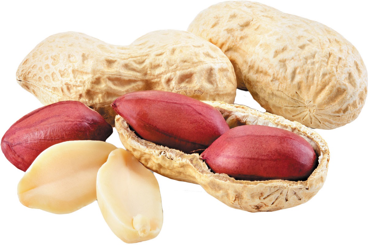 Peanut Benefits: मूंगफली में छिपे है सेहत के अनगिनत फायदे, डायबिटीज मरीजों के लिए होता है फायदेमंद