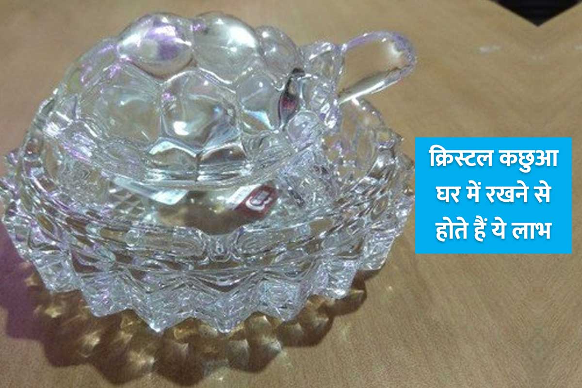 feng shui shastra, crystal turtle placement in home, crystal turtle facing direction, crystal kachua kaha rakhe, crystal kachua benefits, crystal turtle for good luck, 