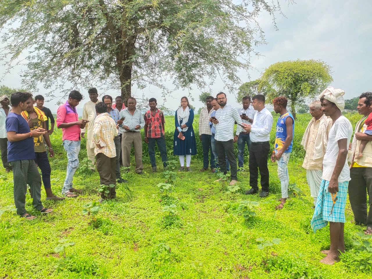 App's online process confused, farmers are not doing Girdawari
