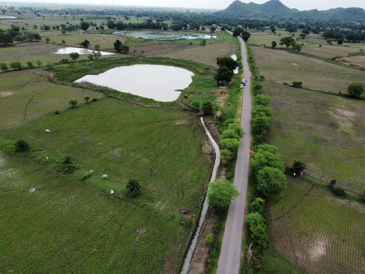 नीति आयोग की पहल पर तालाब का कायाकल्प, अब 5 गांव के 80 किसानों को मिलेगा पानी