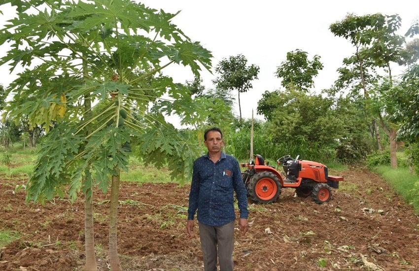 Gujarat Natural Farming  बागवानी फसलों की प्राकृतिक खेती से ऐसे की दोगुनी आवक