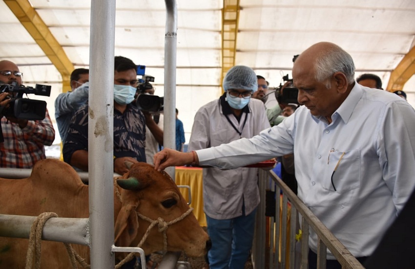 CM in Jamnagar Video : लंपी चर्म रोग प्रभावित व अन्य क्षेत्रों में भी गहन टीकाकरण के निर्देश
