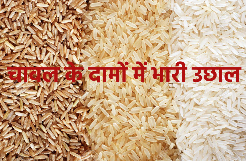 चावल में 500 रुपए का उछाल, केंद्रीय कृषि मंत्रालय की रिपोर्ट में बताई महंगा होने की वजह