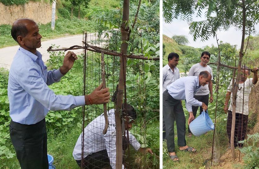 राजस्थान में यहां  दृष्टिहीन प्रकृति प्रेमी ने 5 वर्ष में लगाए 500 पौधे