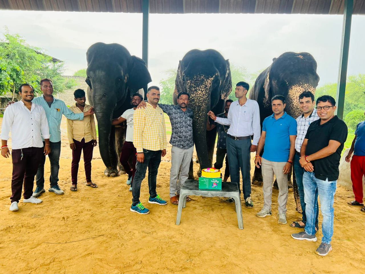 जयपुर : हाथी गांव में केक काट कर मनाया गया विश्व हाथी दिवस