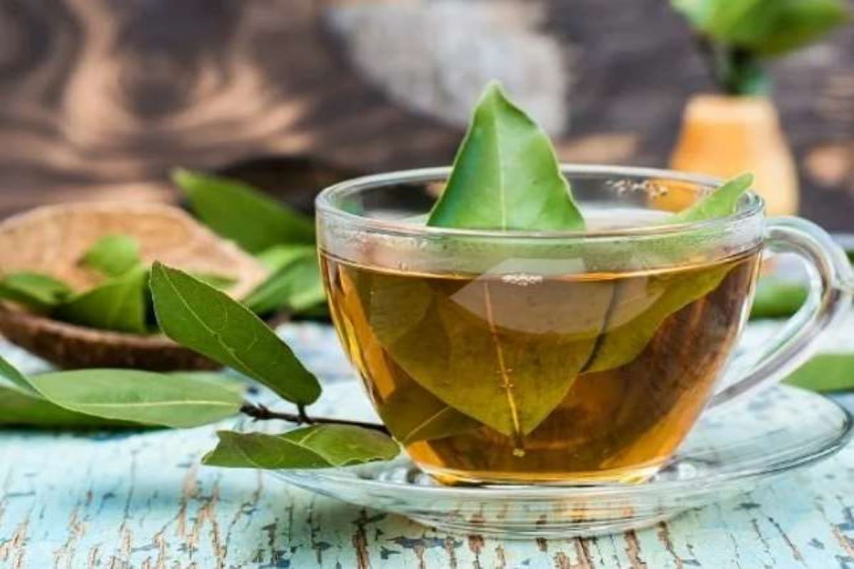 Tejpatta Tea Benefits: रोजाना सुबह तेजपत्ता की चाय पीने के है गजब के फायदे, इंफेक्शन को दूर करने में होता है सहायक