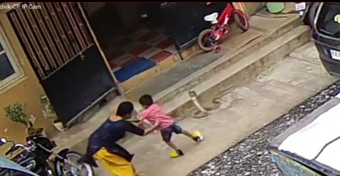 Viral video: सांप डंसने ही वाला था, तभी फुर्ती दिखाते हुए मां ने लाल को बचा लिया