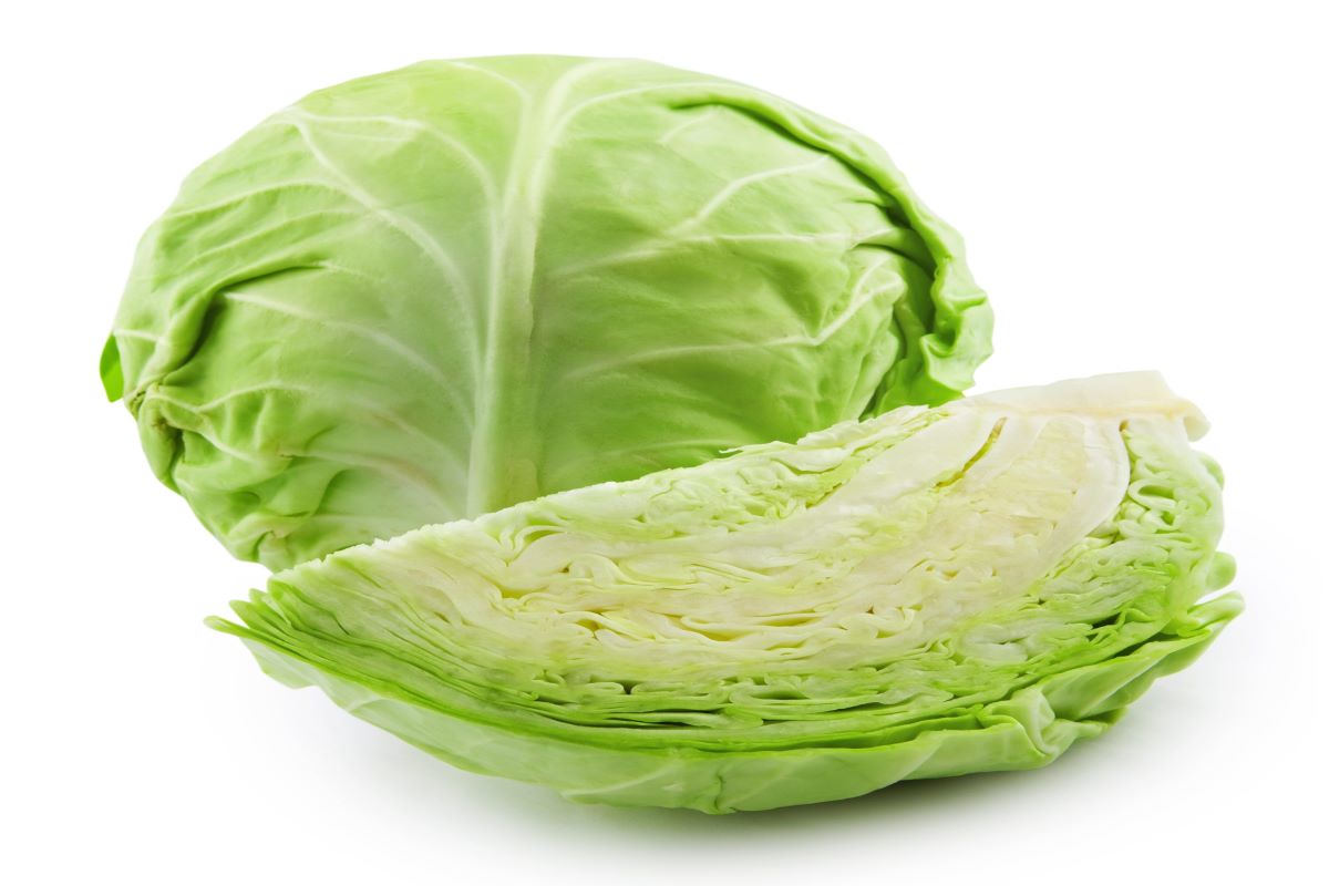 Health benefits of eating cabbage for boost immunity