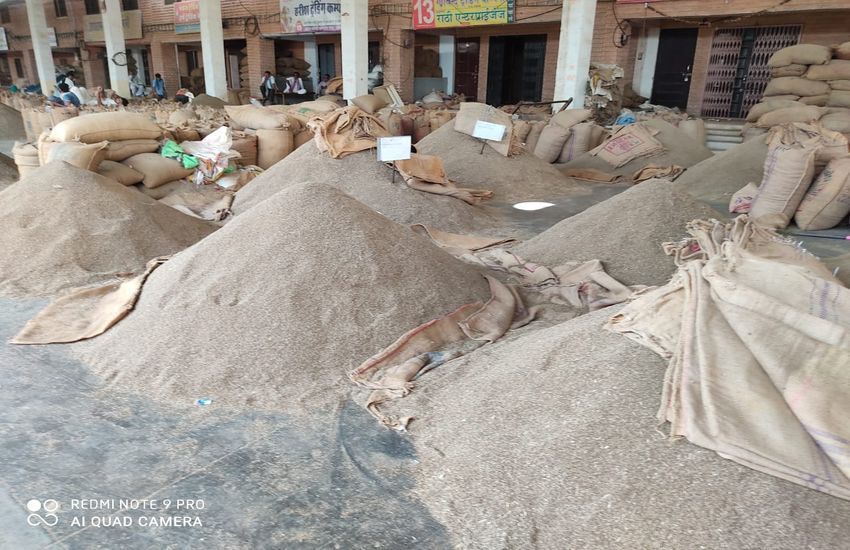 KRISHI MANDI UPDATES:: जीरा, ग्वार-गम में तेजी जारी, सोना-चांदी सामान्य