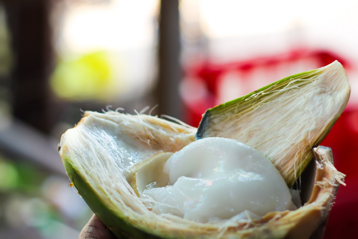 Coconut Malai Benefits: नारियल की मलाई खाने के भी है कमाल के फायदे, पाचन तंत्र को रखता है स्वस्थ