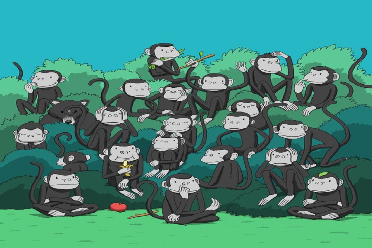 monkey illusion experiment