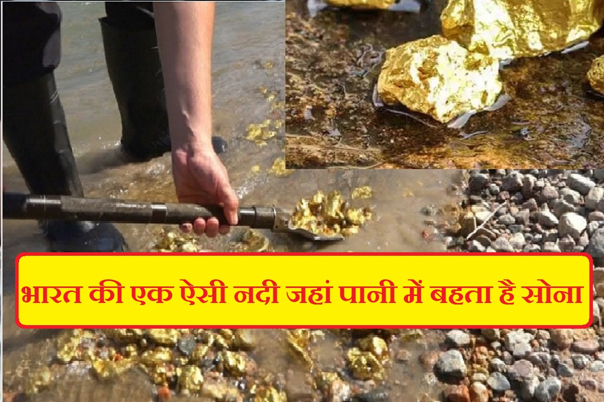 भारत की एक ऐसी नदी जहां पानी में बहता है सोना, सुबह से शाम तक सोना निकालते हैं लोग, कहां से आता है किसी को नहीं पता