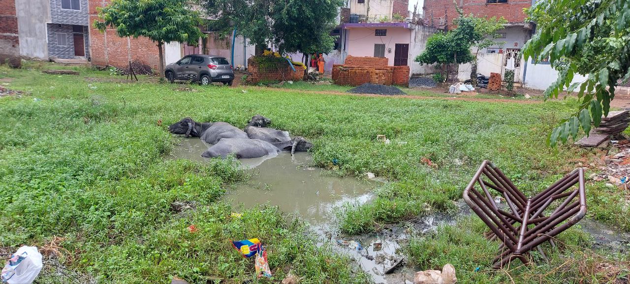 Drains and roads were not built paying tax at two places