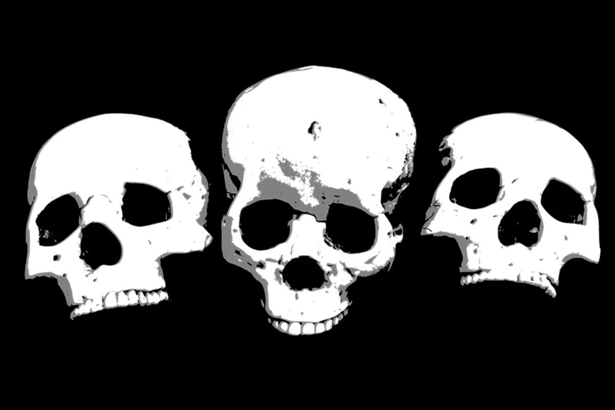 Can You Find The Hidden Face Among These Skulls?