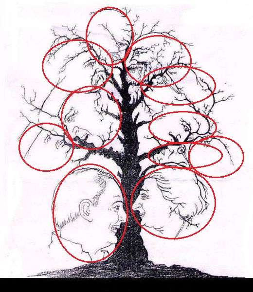 optical_illusion.jpg