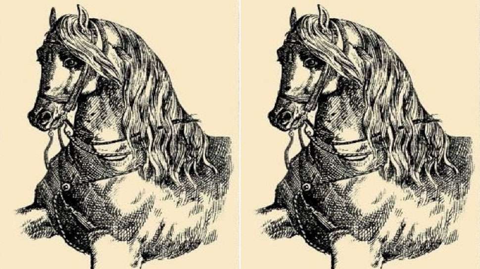 horse_optical.jpg