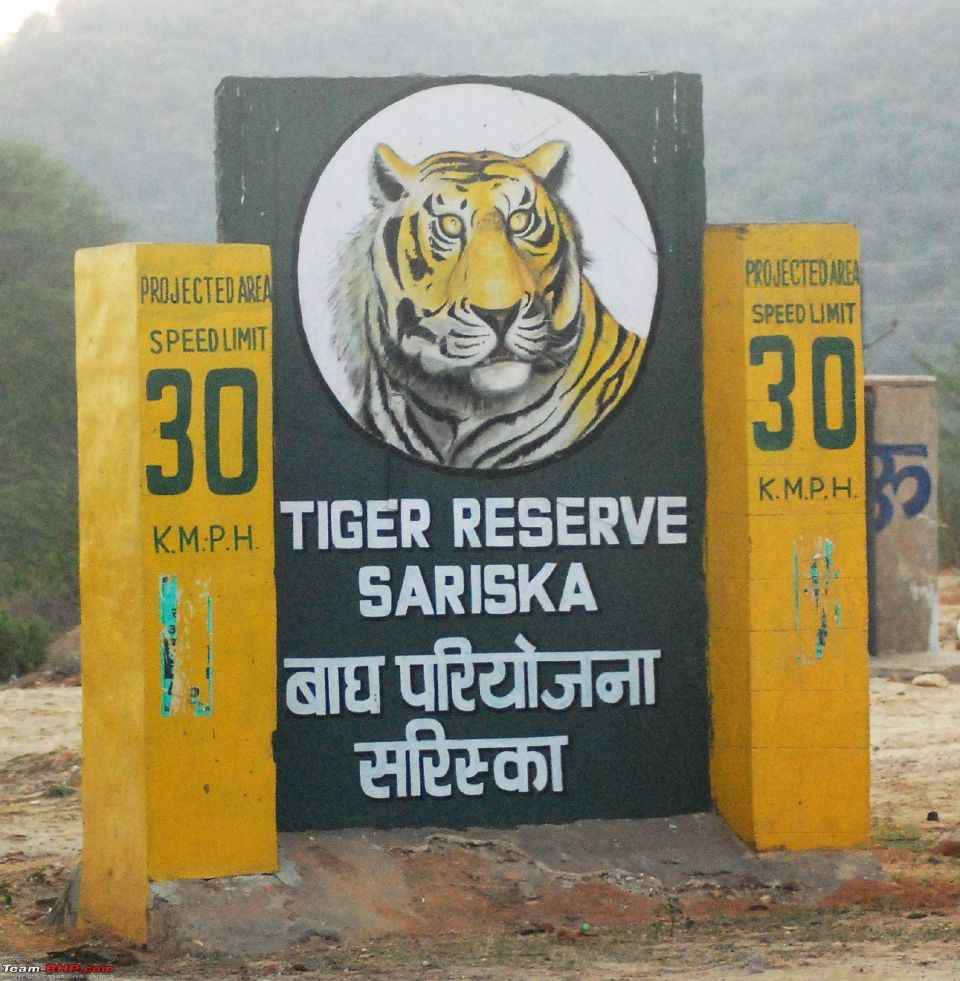 अफ्रीकी देश से चीता आ गया, रणथंभौर से सरिस्का में बाघ आने का इंतजार