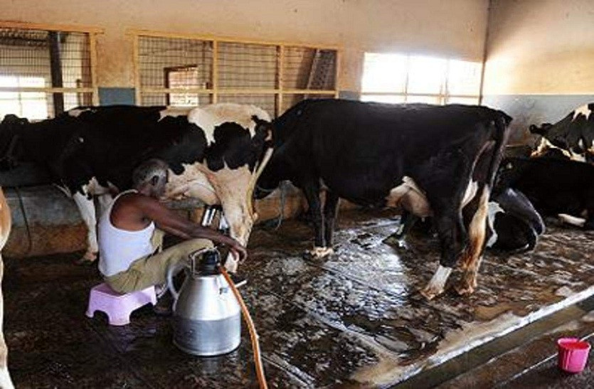 dairy farmers gopal ratna award 2022 how to apply