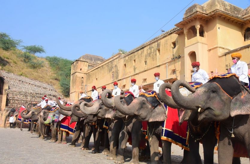 विश्वविख्यात आमेर महल में हाथी सवारी पर रोक