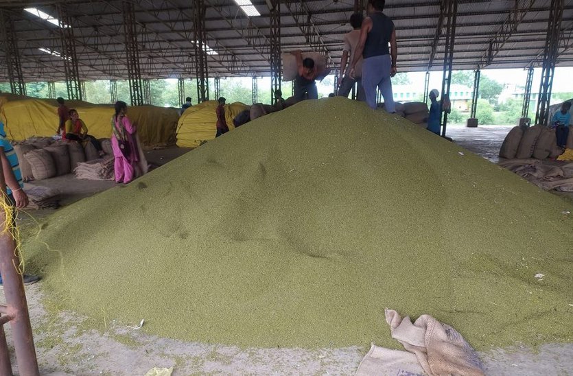 मूंग उपार्जन के 3 दिन शेष, अब तक 6 हजार किसानों की नहीं आई उपज