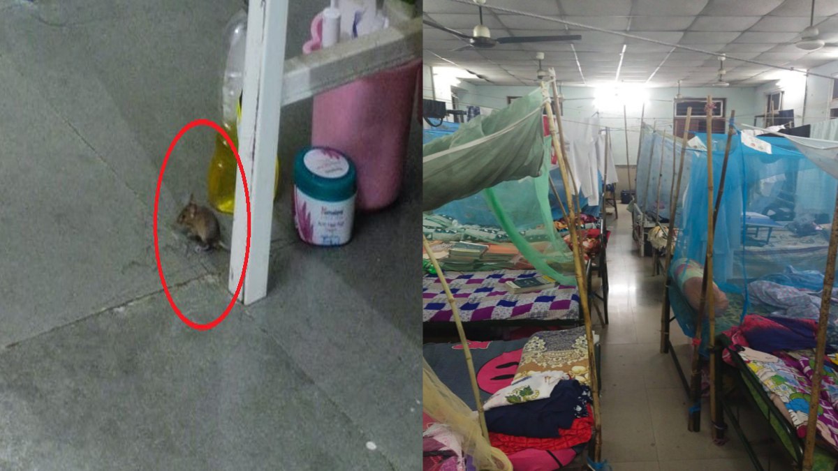 प्रदेश के सबसे बड़े मेडिकल कॉलेज के गर्ल्स हॉस्टल का हाल: 17 छात्राओं को चूहों ने काटा, कुछ को बनाया 3 से 4 बार अपना शिकार