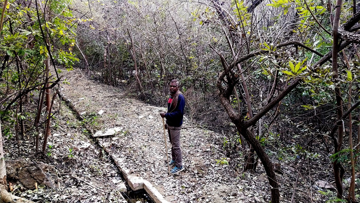 बिहार के वन रक्षक लेंगे मप्र में वन और वन्य प्राणियों के सुरक्षा की ट्रेनिंग