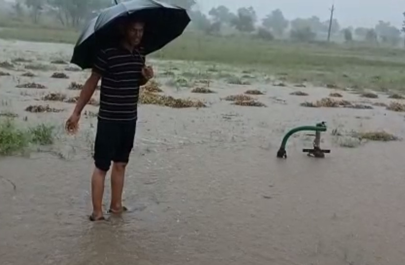 Weather Update : राजस्थान में झमाझम बारिश, कई जिलों में यलो अलर्ट जारी