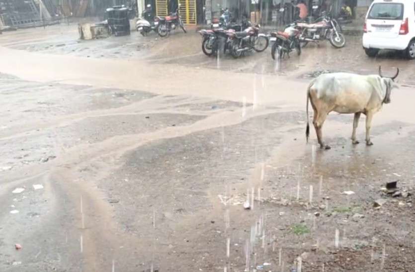 Weather Update : राजस्थान में झमाझम बारिश, कई जिलों में यलो अलर्ट जारी