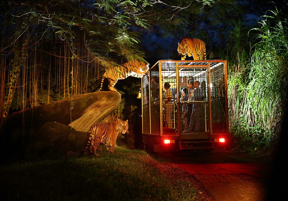 night safari noida location