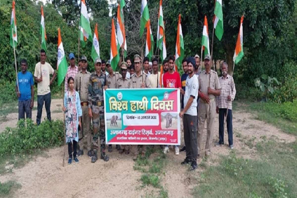 खुशखबर, अमानगढ़ टाइगर रिजर्व 15 नवंबर से पर्यटकों के लिए खुलेगा