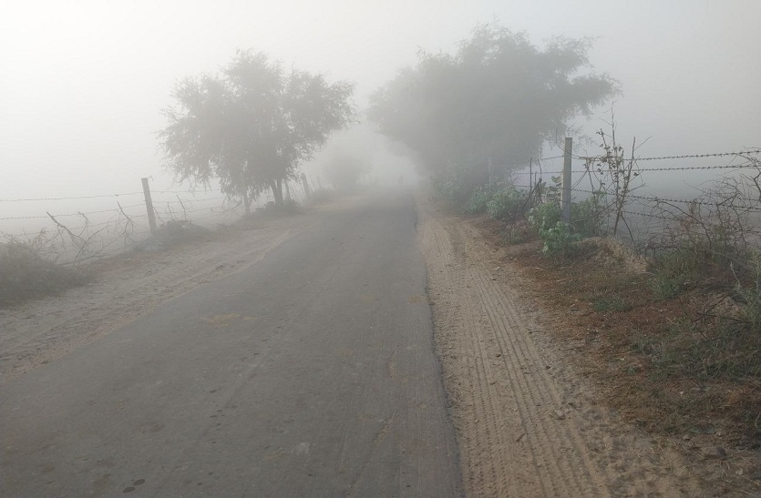 Weather News- तेजी से बढ़ रही सर्दी, गिर रहा तापमान, 12 जिलों का पारा 10.0 डिग्री सेल्सियस से कम